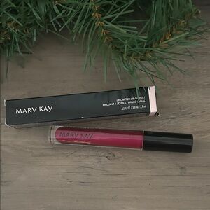 MARY KAY UNLIMITED LIP GLOSS